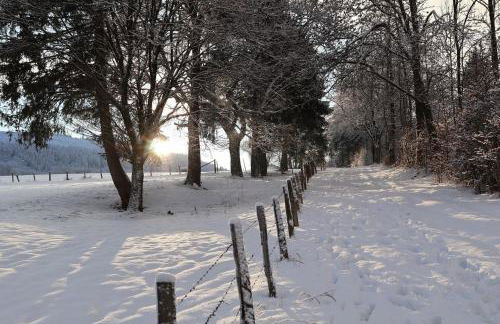 Ferienwohnung Nordhelle - Foto 40