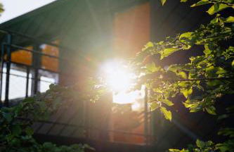 Oak - K1 Baumhaus - Foto 17