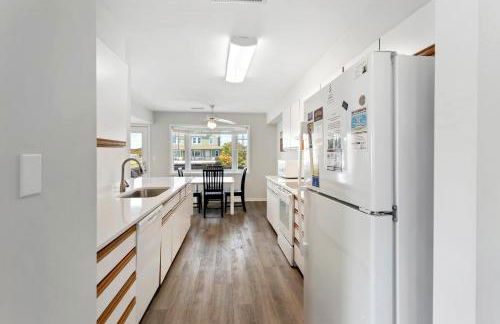 CAC-23B - Zebrafish - Foto 14