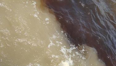 Amazônia Residencial Romulo Tour 3 - Foto 4