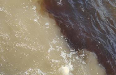 Amazônia Residencial Romulo Tour 3 - Foto 4