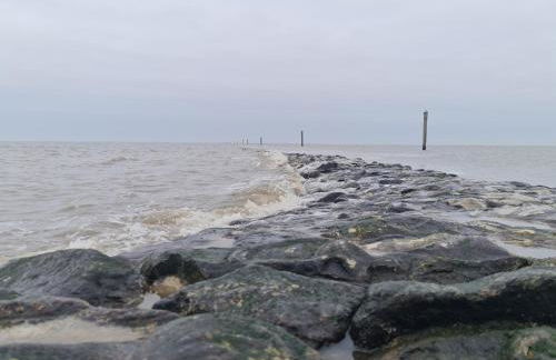 Ferienwohnung FeWo Plaggenburg - Das Familienreich - Photo 28