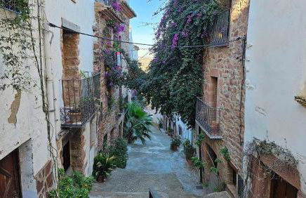 Casa Turistica Torreón de Villafamés - Foto 50