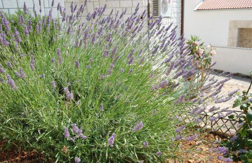 Apartments by the sea Bilo, Primosten - 3090 - Photo 10