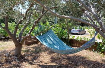 Apartment Gligora - Photo 7