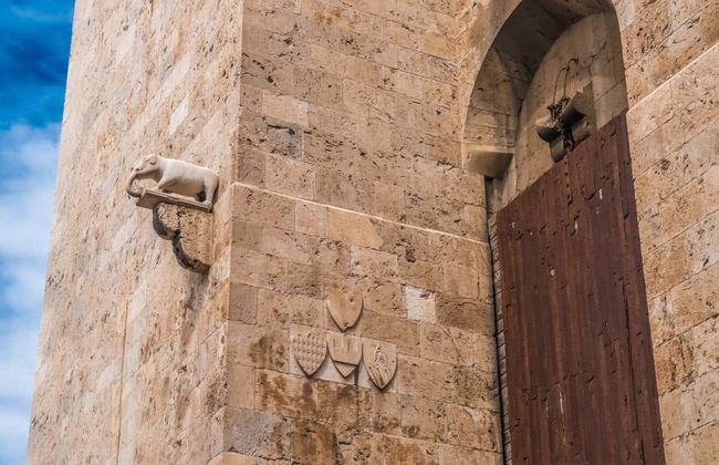 Cagliari Guided Tour - Photo 2