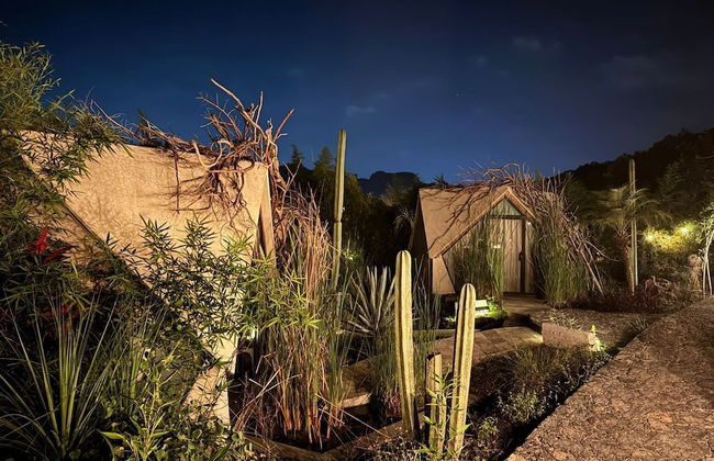 Bosque Geométrico - Foto 1