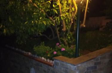 Violetta Studios & Apartments - Foto 48