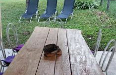 Apartman NINA - Foto 42