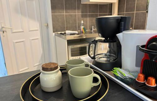 Studio garden and serenity, near Eurexpo and GroupamaStadium - Foto 13