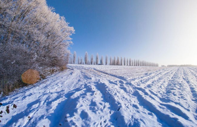 Ladybug House With Whirlpool - Foto 16