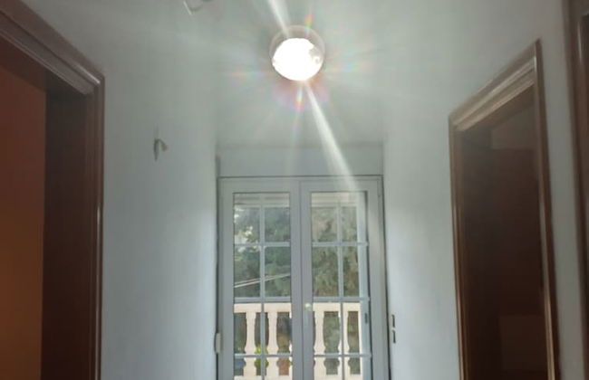 Freeman Greenlees Classical Greek - Foto 18