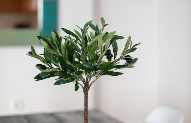 Portela Homes Kapsali - Foto 23