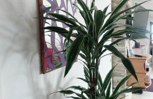 Chez Sylviane Alloggio turistico in campagna vicino al mare - Photo 20