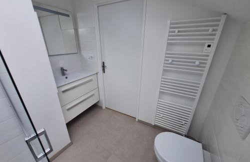 Studio 1 rénové lit queen size balcon garage - Foto 10