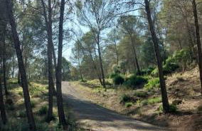 MAIN SQUARE Apartments - Photo 58