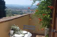 AGRIFOGLIO - Photo 5