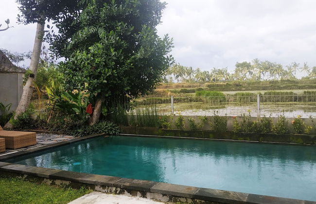 Anggira Villa Ubud - Photo 39
