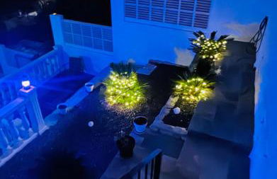 Maryvilla Zohra - Photo 66