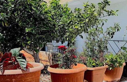 BOYZIANAS home - Foto 29