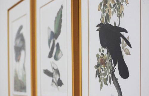 Woodpecker Lodge - Brook Meadow - sleeps 4 plus 2 - no pets - Foto 9