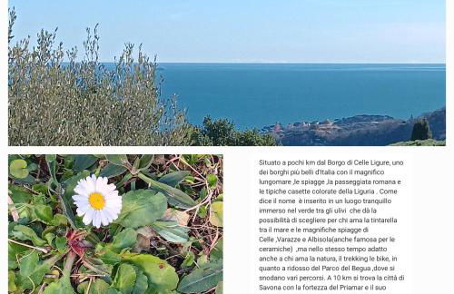 TraMonti e Mare, vista mare giardino, la casa che in ogni stagione si trasforma! - Foto 2