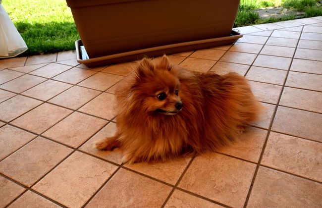 Flat in Villa, With Garden, Barbecue - Photo 28