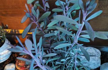 Appartement à Pramousquier Le Lavandou - Foto 18