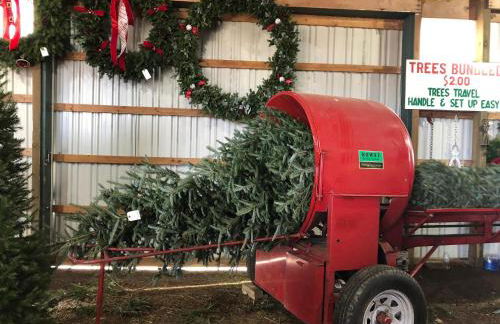 Meadow Sunrise - Foto 46