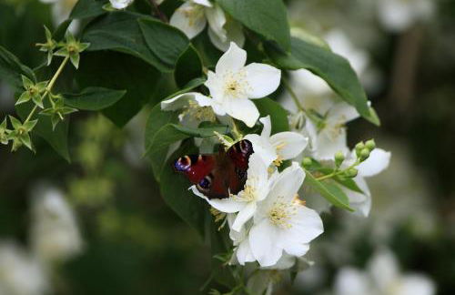 Ferienwohnung Anderswo - Foto 18