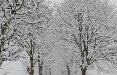 Appartamento Al Brenz - Foto 43