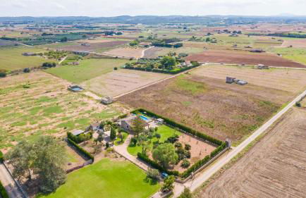 Son March I - Foto 41