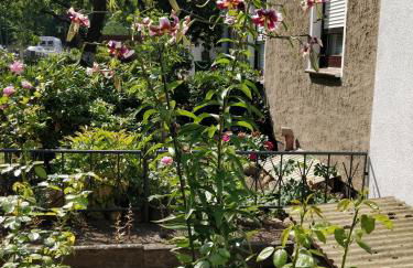 Gästehaus am Teich - Foto 14