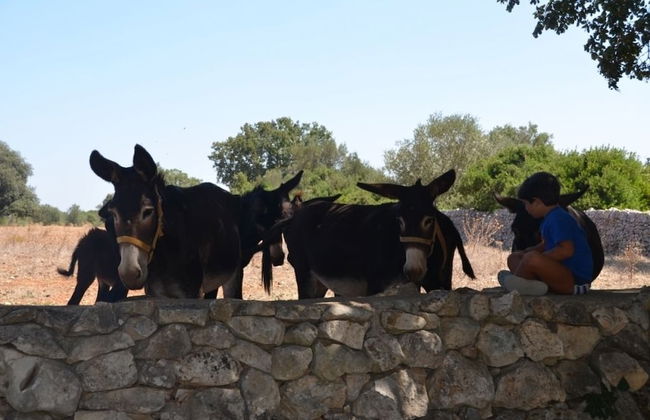 Tenuta Deserto - Foto 40