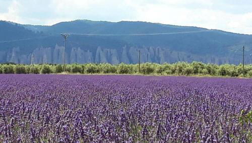 Le gîte du Jas Vieux - Foto 3