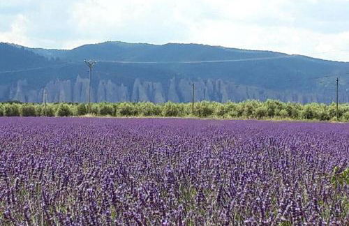 Le gîte du Jas Vieux - Foto 3