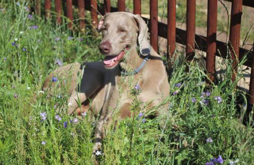 Cichosza - The Sound Of Silence - Foto 31