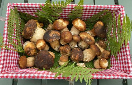 La casina del prete - Foto 24