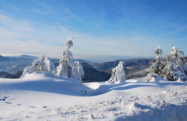 Ferienwohnung im Malerischen Kniebis - Foto 21