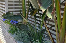 RESIDENZA GIULIA e LIDIA - PERLA DELL'ADRIATICO - Foto 25