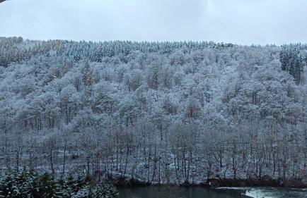 Ferienwohnung mit Terrasse für 1-4 Personen - Foto 29