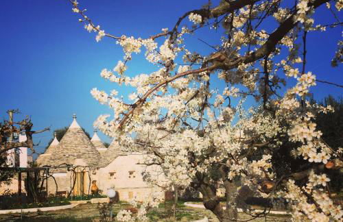 Trulli di Pozzomasiello - Foto 50
