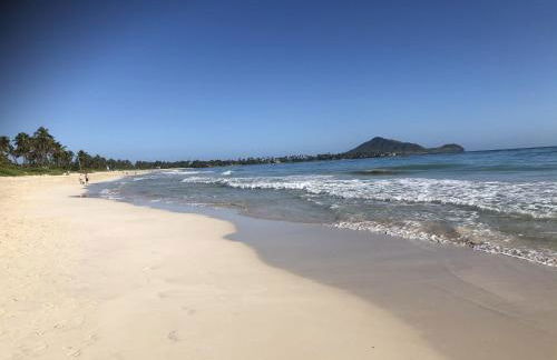 Gorgeous Renovated 1937 Plantation Style Beach House 50 Steps To The Center Of The Beach 5 Bedroom Home by RedAwning - Foto 128