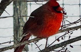 The Tannery House - Foto 15