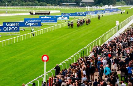 Cozy Vibes Minimalist Studio Stay - Foto 32