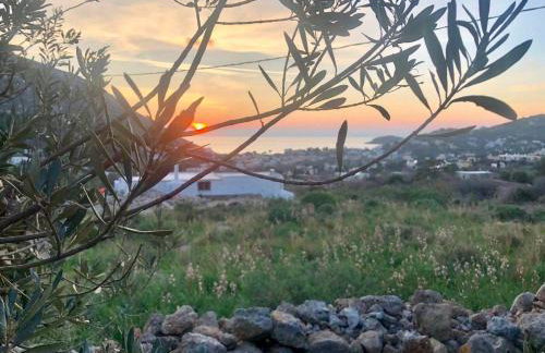 Kareshome-Privacy-view - Photo 6