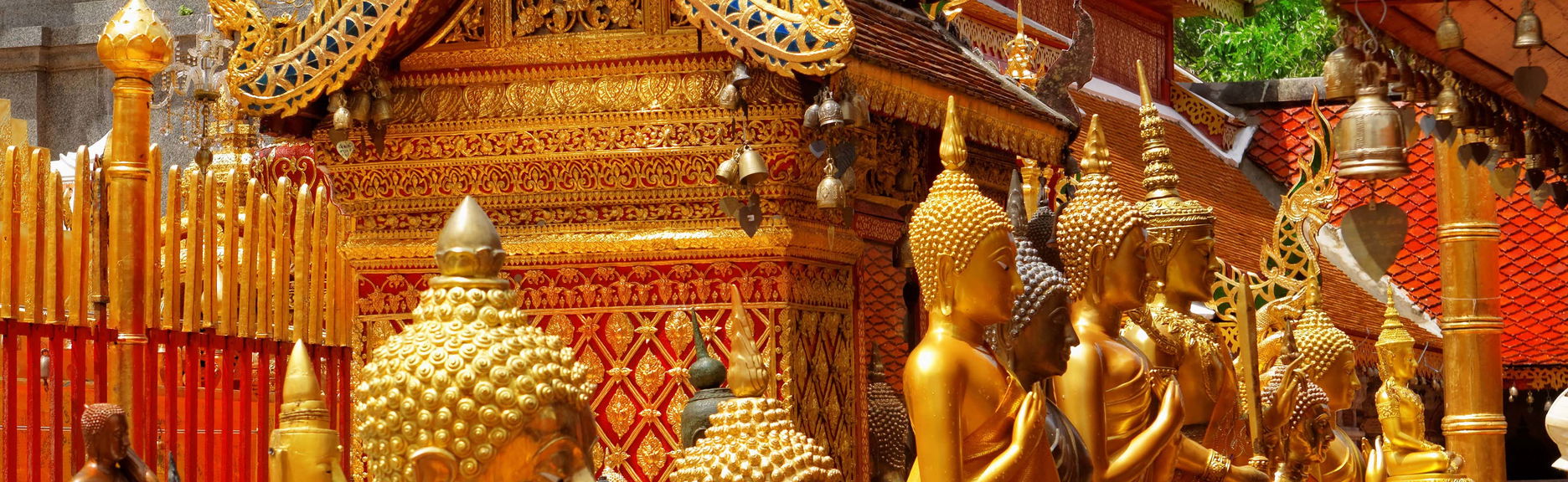 Tour privado por Doi Suthep e Wat Pha Lat