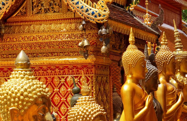 Tour privado por Doi Suthep y Wat Pha Lat - Foto 1