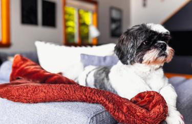 Sunset, Lake and Mtn View, Theater, Hot Tub, Xbox, Close to Sunday River - Foto 47