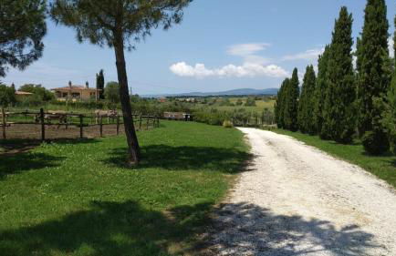 Agriturismo Casale San Benedetto - Foto 23